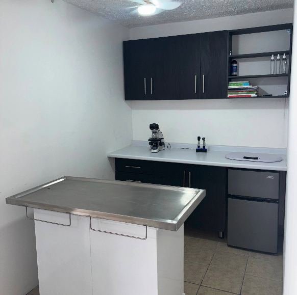 Área de consulta con mesa de exploración de acero inoxidable en la veterinaria Meraki, Zapopan